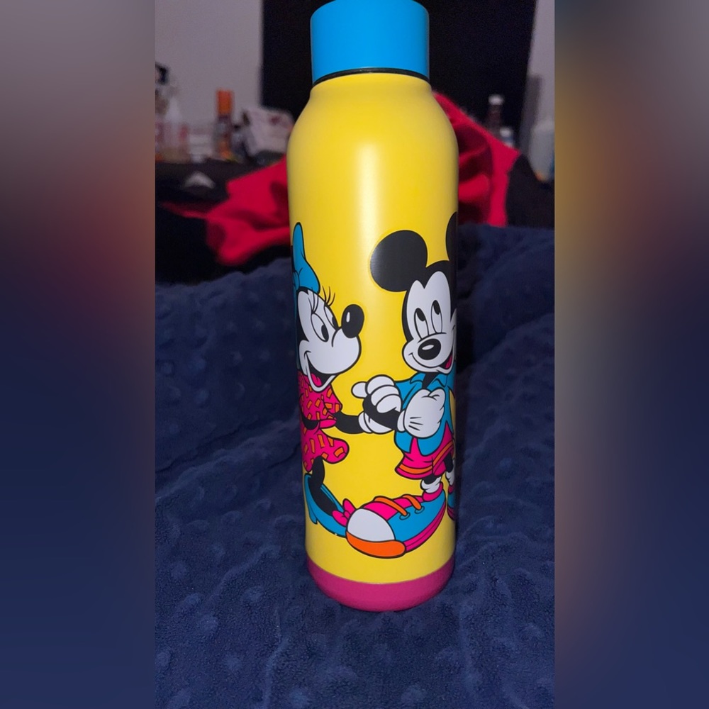 Mickey and Minnie Mouse Water Bottle (21oz)